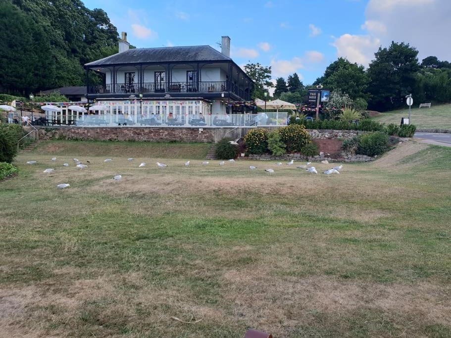 Beach Retreat Village Centre Location Shaldon Exterior photo